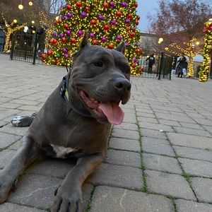 Meet your Posher, Tuan